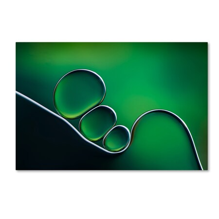 Trademark Fine Art Jacqueline Hammer 'Shifting Shapes' Canvas Art, 22x32 1X01327-C2232GG